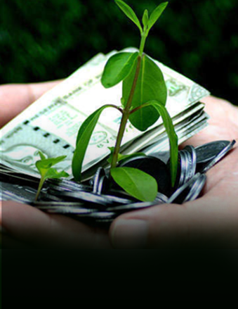financialexpress
